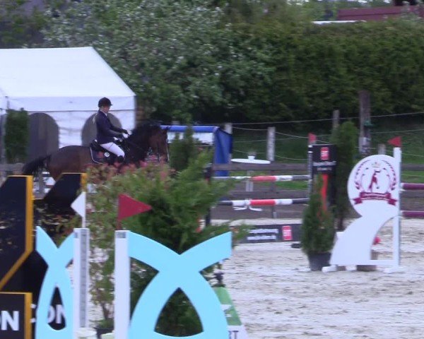 Reitturnier Looperholz 2025