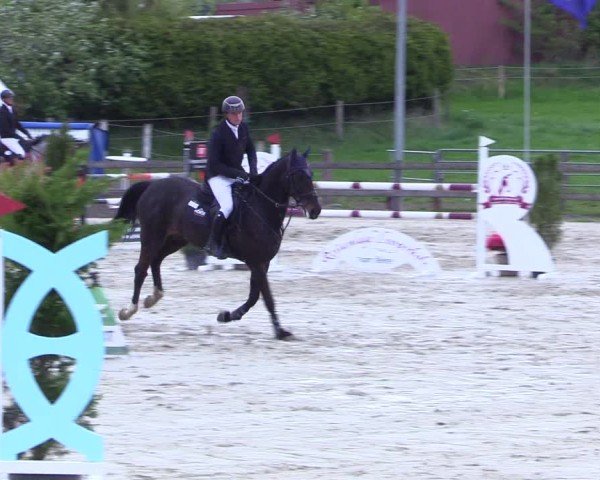 Reitturnier Looperholz 2025
