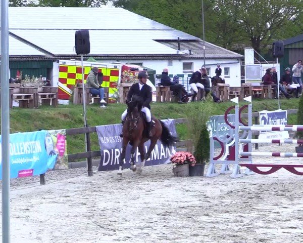 Reitturnier Looperholz 2025