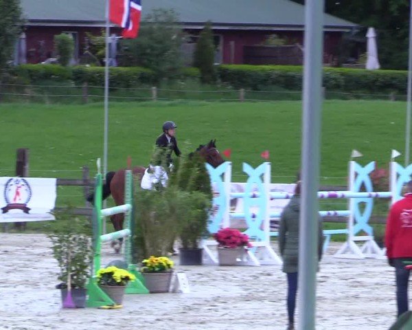 Reitturnier Looperholz 2025