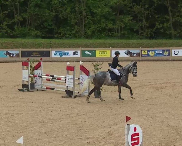 Reitturnier Tiefenhof/Opf. 2025