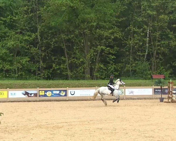 Reitturnier Tiefenhof/Opf. 2025