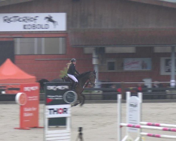 Reitturnier Uder, Reitanlage Kobold 2025