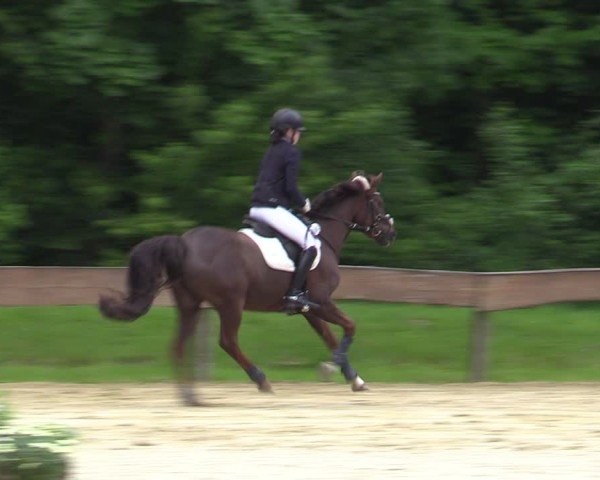 Reitturnier Wesel-Obrighoven 2025