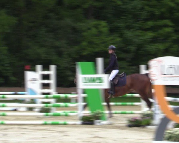Reitturnier Wesel-Obrighoven 2025