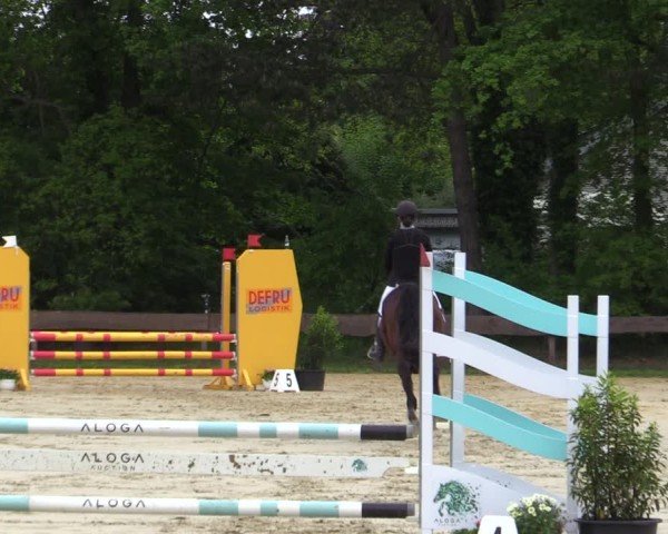 Reitturnier Wesel-Obrighoven 2025
