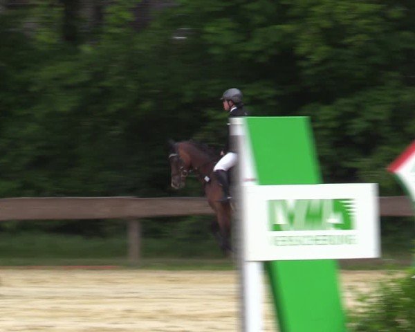 Reitturnier Wesel-Obrighoven 2025