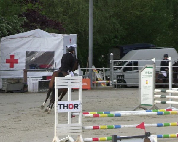 Reitturnier Uder, Reitanlage Kobold 2025