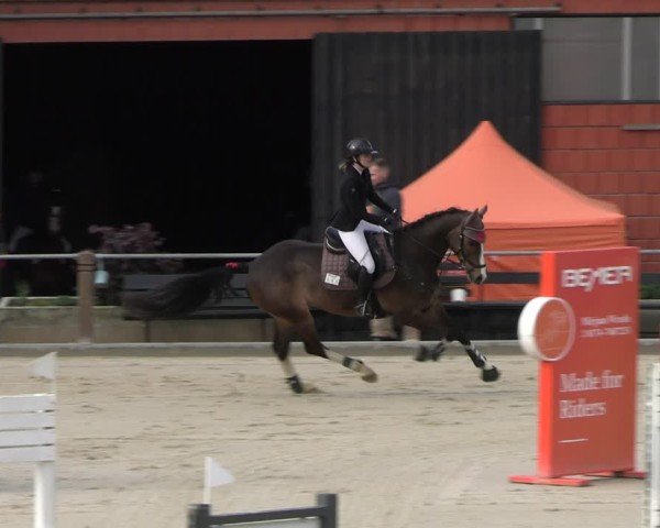 Reitturnier Uder, Reitanlage Kobold 2025