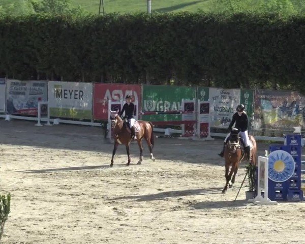Reitturnier Preding 2025