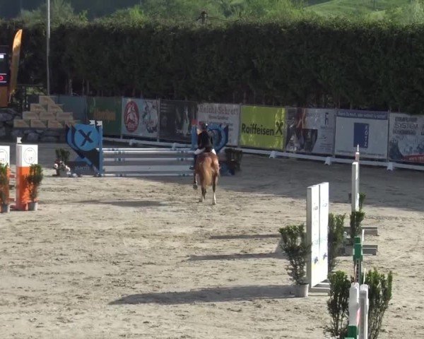 Reitturnier Preding 2025