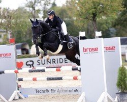 broodmare Lou 96 (Oldenburg show jumper, 2013, from L'Ami)