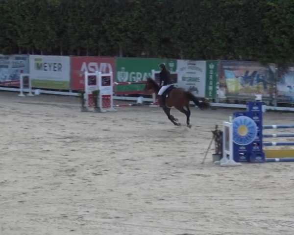 Reitturnier Preding 2025