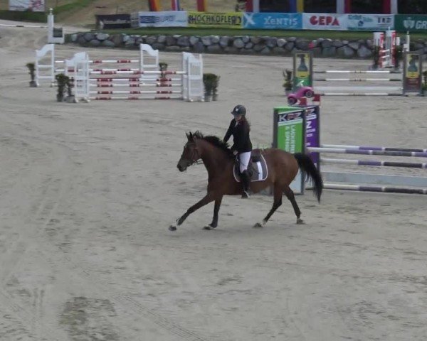 Reitturnier Preding 2025