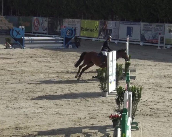 Reitturnier Preding 2025