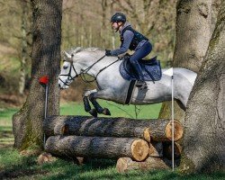 jumper Polly 521 (Connemara Pony, 2017, from Dunloughan Troy)