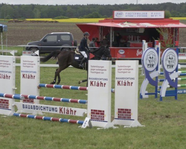 Reitturnier Wehnsdorf 2025