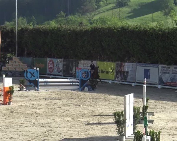Reitturnier Preding 2025