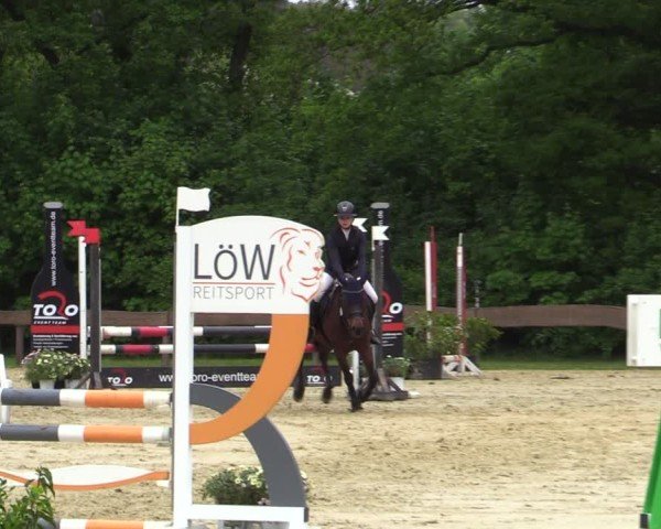 Reitturnier Wesel-Obrighoven 2025