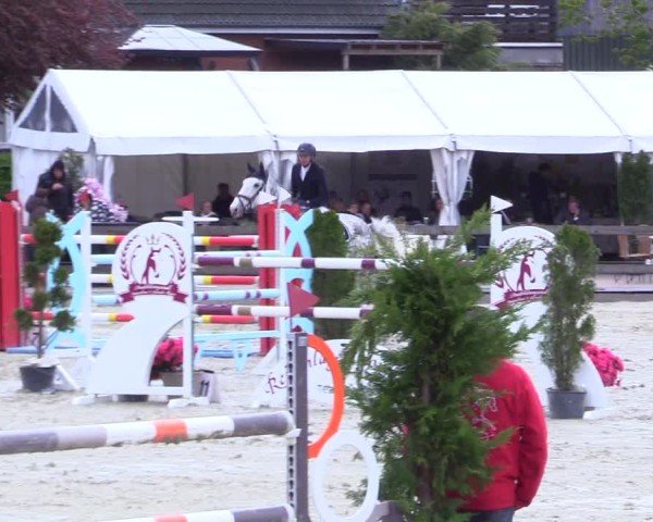 Reitturnier Looperholz 2025