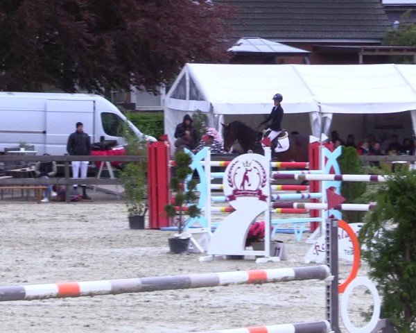 Reitturnier Looperholz 2025