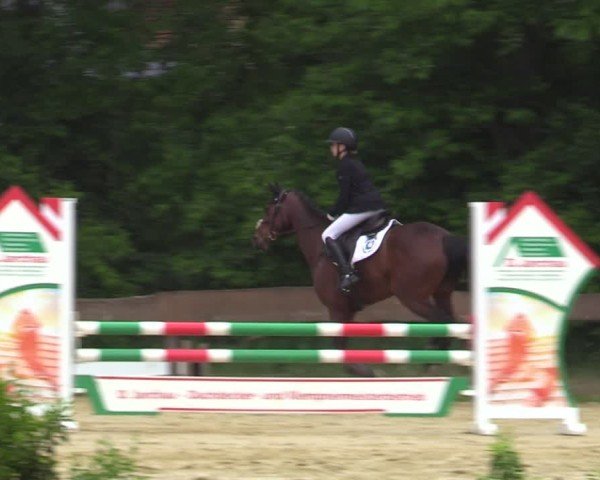 Reitturnier Wesel-Obrighoven 2025