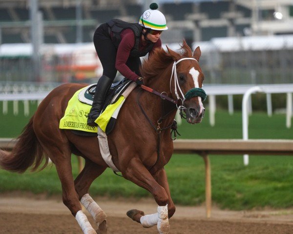 Pferd American Promise xx (Englisches Vollblut, 2022, von Justify xx)