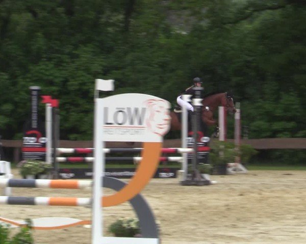 Reitturnier Wesel-Obrighoven 2025
