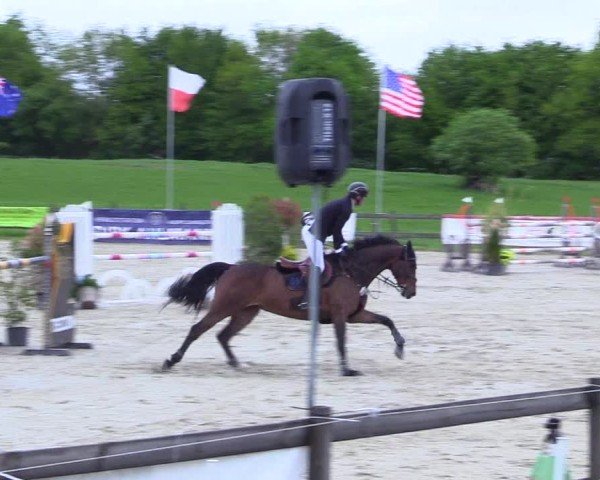 Reitturnier Looperholz 2025