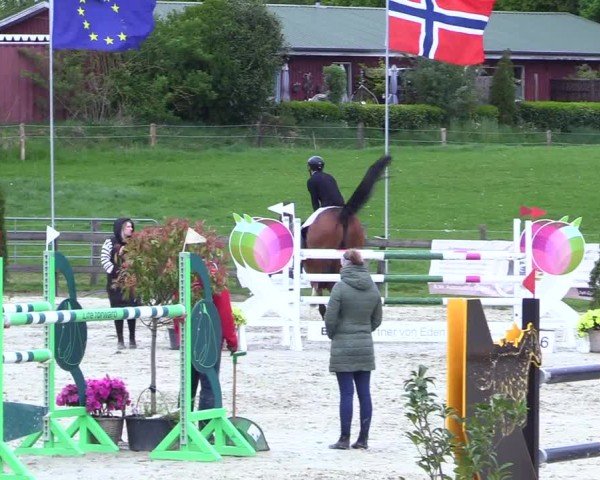 Reitturnier Looperholz 2025