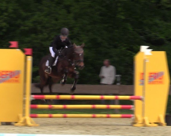 Reitturnier Wesel-Obrighoven 2025