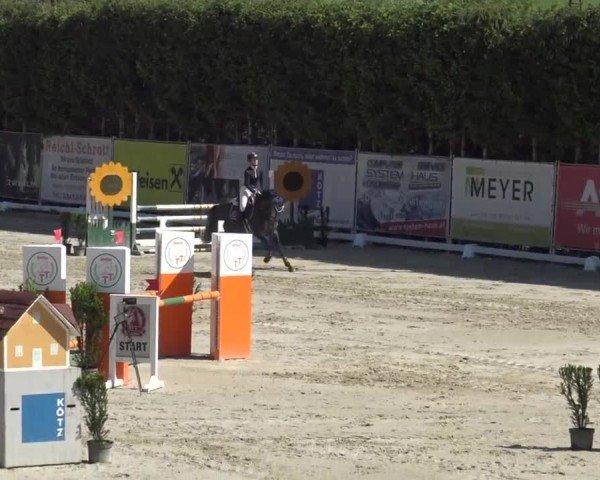 Reitturnier Preding 2025