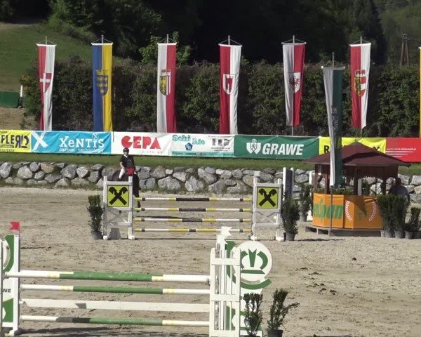 Reitturnier Preding 2025
