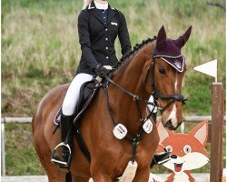 broodmare Fran Annelie (anglo european sporthorse, 2017, from Lord Siclau)