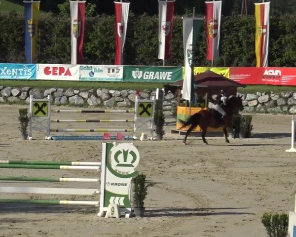 Reitturnier Preding 2025