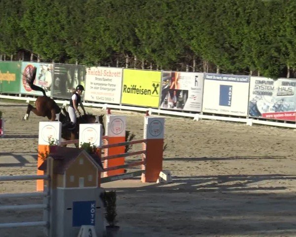 Reitturnier Preding 2025