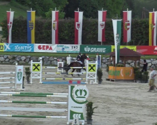 Reitturnier Preding 2025
