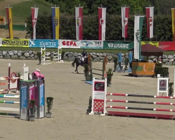 Reitturnier Preding 2025