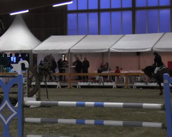 U25 Hallenturnier Warendorf-Freckenhorst