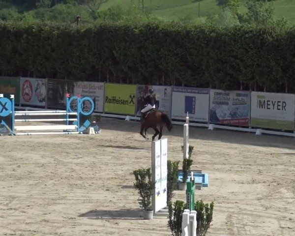 Reitturnier Preding 2025