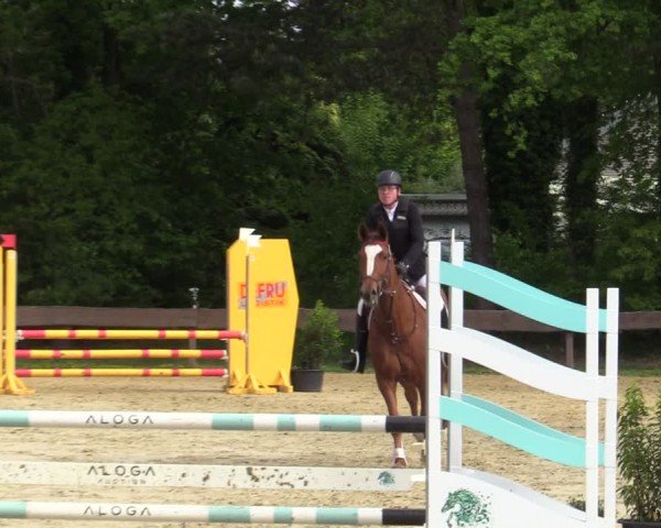 Reitturnier Wesel-Obrighoven 2025