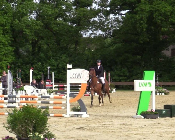 Reitturnier Wesel-Obrighoven 2025