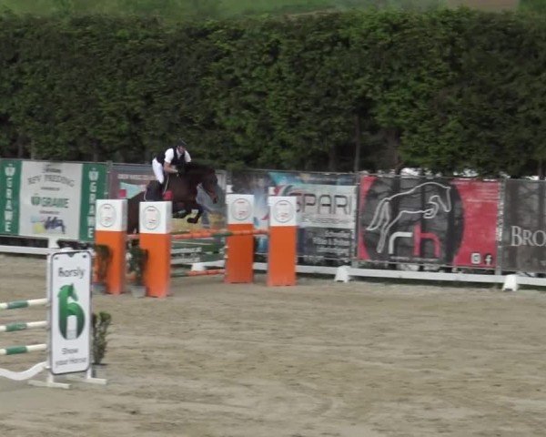 Reitturnier Preding 2025