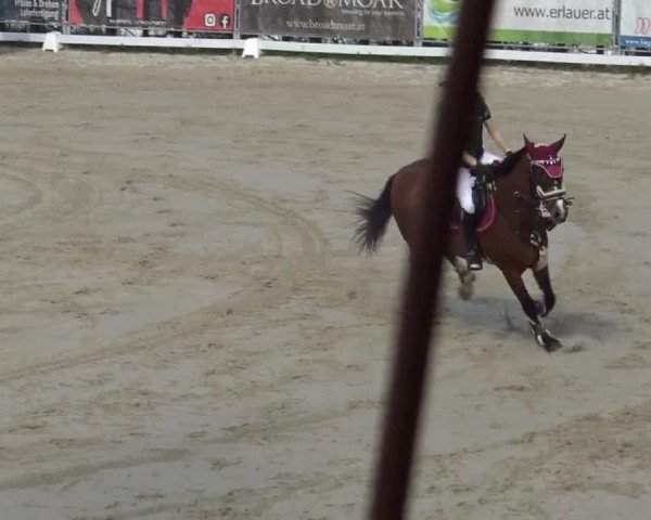 Reitturnier Preding 2025