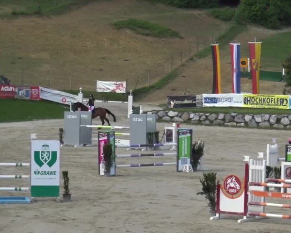 Reitturnier Preding 2025