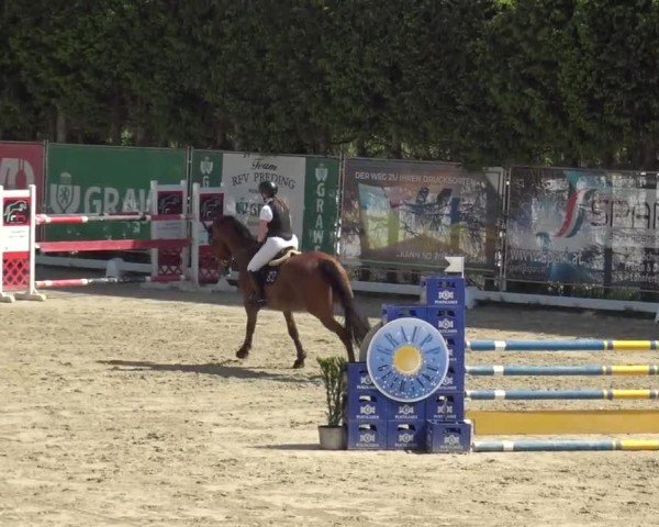 Reitturnier Preding 2025