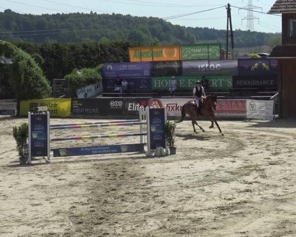 Reitturnier Preding 2025