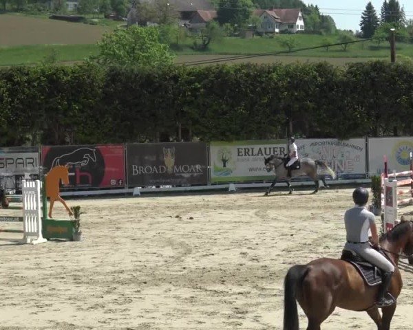 Reitturnier Preding 2025