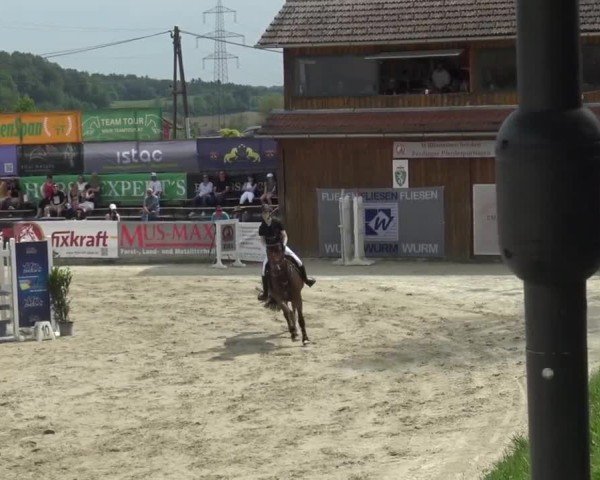 Reitturnier Preding 2025