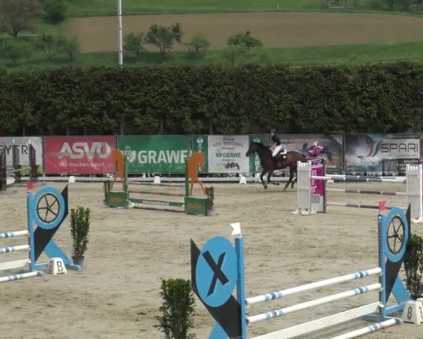Reitturnier Preding 2025